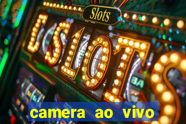 camera ao vivo terminal vila nova cachoeirinha